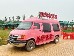 -天津武清北运河郊野公园房车露营地