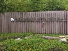 -都江堰中华大熊猫苑