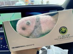 -中国大熊猫保护研究中心雅安碧峰峡基地