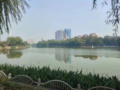 -沙市市中山公园
