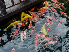 -顺德渔村·岭南一号