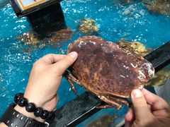 -盒马鲜生(曜一城店)