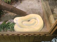 -上海大自然野生昆虫馆(东方明珠·爬宠昆虫探索中心)