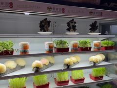 -番食园鲜食火锅(高新店)