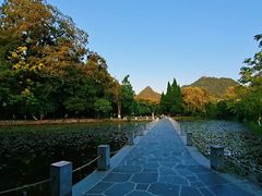 -花溪公园