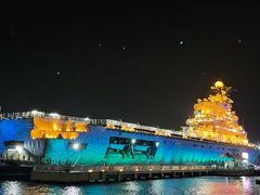 -泰达航母主题公园