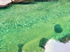 -石台牯牛降景区