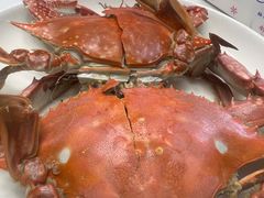 -杨记海鲜楼(三门黑金冠店)