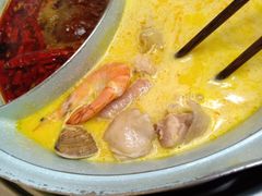 -青瓷火锅料理(西单大悦城店)