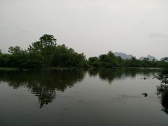 -会仙湿地