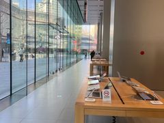 -Apple零售店(华贸购物中心店)