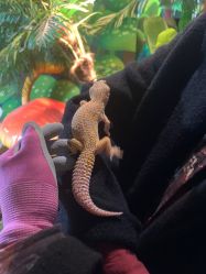 -酷嗒动物文化乐园(cutezoo西溪乐天城店)