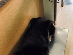 -爱侣宠医·鹦鹉专科·小型哺乳类·异宠专科(灵石路店)