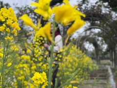 -都江堰玫瑰花溪谷