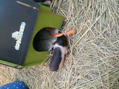 android_upload_pic-万达广场(南京江宁店)