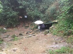 -南山植物园