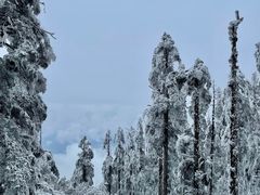 -瓦屋山景区