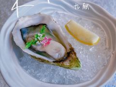 -九献私房菜(亮马河花园私宴店)