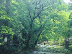 -五泄景区
