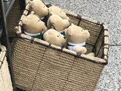 -星巴克(上海虹桥站2A检票口)