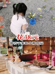 -萌宠亲子动物乐园(槐房万达店)