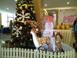 点击看大图 -宝生月子中心·独栋独院式(南山店)