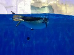 -华夏文旅西安度假区