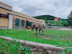 -哈尔滨北方森林动物园