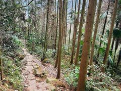-青城山