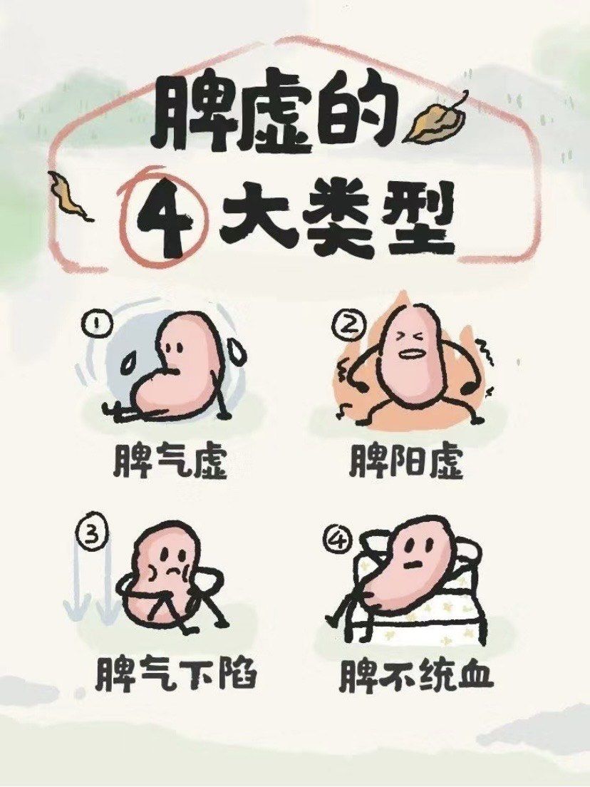 脾虚只要有这四种类型