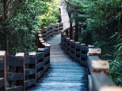 -水濂山森林公园