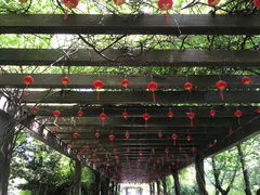 -白马涧龙池景区