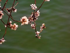 -颐和园