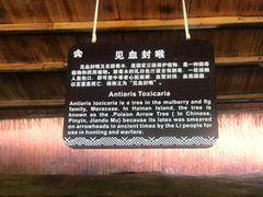 -海南槟榔谷黎苗文化旅游区