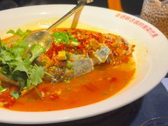 -坛宗剁椒鱼头(河西王府井店)