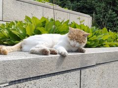 -六鼎山文化旅游区