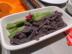 -海底捞火锅(公益西桥店)