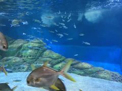 -厦门海底世界