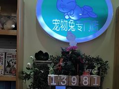 -宠物兔专门店(天丰利市场店)