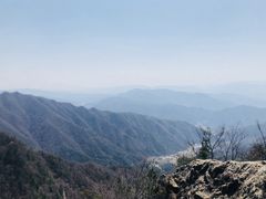 -王顺山国家森林公园