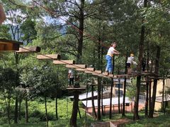 -梦幻奥陶纪景区