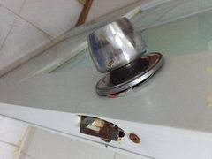 -西昌邛海湿地酒店