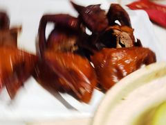 -侨美·唐荔园·40年地道粤菜