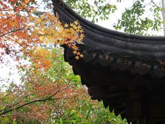 -秋霞圃