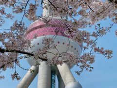 -东方明珠广播电视塔