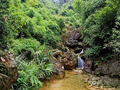 -南海湾森林生态园