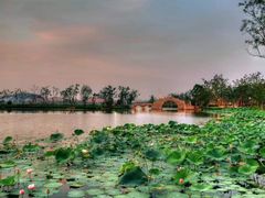 -杭州开元森泊度假乐园