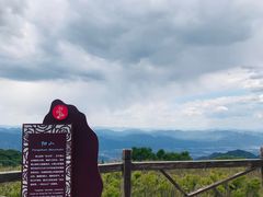 -阳台山自然风景区