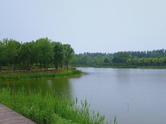 -东郊湿地公园