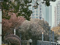 -苏州河梦清园环保主题公园